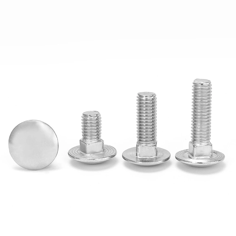 316 Carriage Bolt